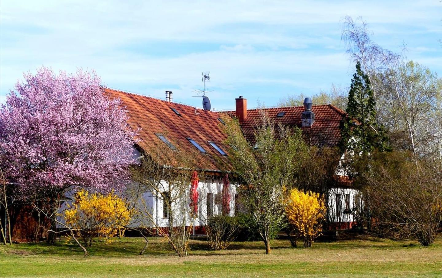 Kigyosi Csarda & Panzio Bed & Breakfast Fulopszallas Eksteriør bilde